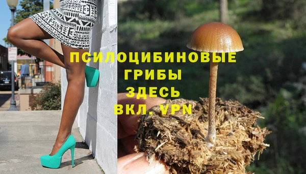 Альфа ПВП Кинешма