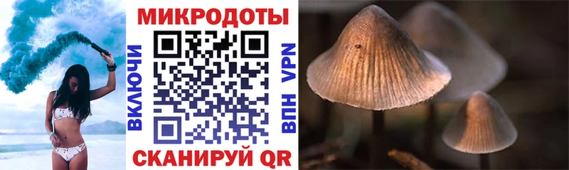 Псилоцибиновые грибы Psilocybe  Купить  Лесной 